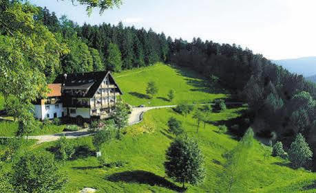 Md Waldhotel Palmspring Bad Peterstal-Griesbach Esterno foto
