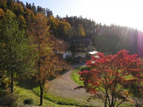 Md Waldhotel Palmspring Bad Peterstal-Griesbach Esterno foto